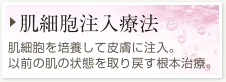 【肌細胞注入療法】あなた自身の肌細胞を培養して皮膚に注入。以前の肌の状態を取り戻す根本治療。