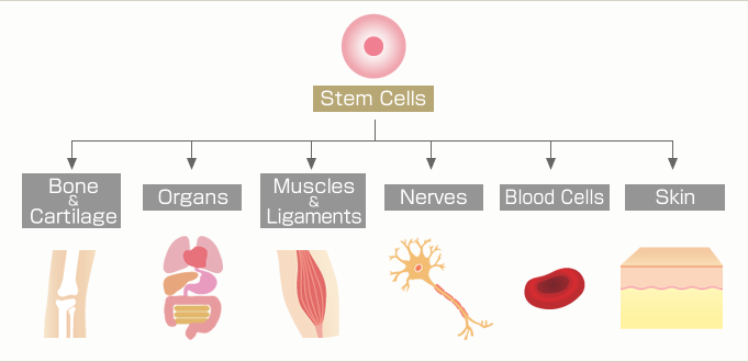 skin cell injection therapy